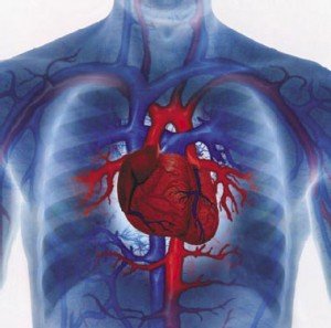 Top 10 Reasons to Join a Gym - Reduced Risk of Disease/Health Problems