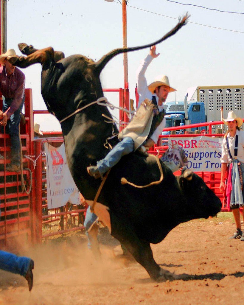 Bull Riding Dangers Top 10 Most Dangerous Sports | OnlyTopTens