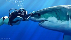 Top 10 Bucket List Ideas - Go Scuba Diving